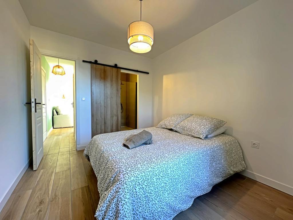 Appartement Coup De Coeur. St Etienne-Rochetaillee Saint-Etienne  Exterior foto