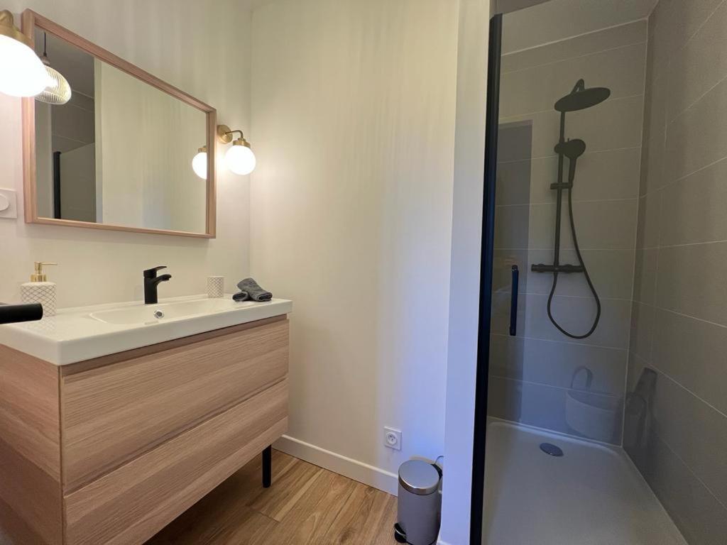 Appartement Coup De Coeur. St Etienne-Rochetaillee Saint-Etienne  Exterior foto