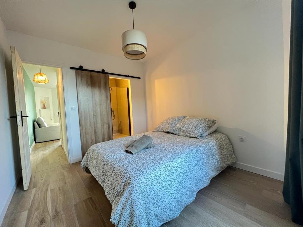 Appartement Coup De Coeur. St Etienne-Rochetaillee Saint-Etienne  Exterior foto
